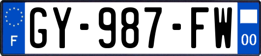 GY-987-FW
