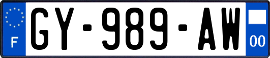 GY-989-AW