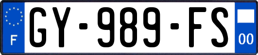 GY-989-FS