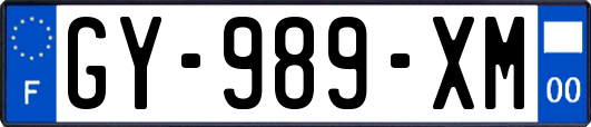GY-989-XM