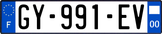 GY-991-EV