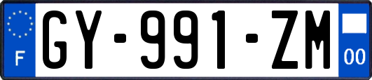 GY-991-ZM