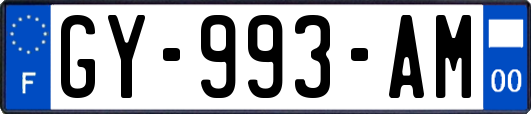 GY-993-AM