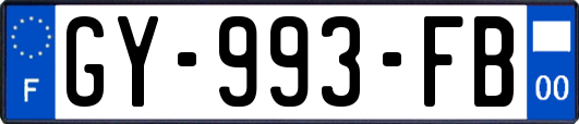 GY-993-FB