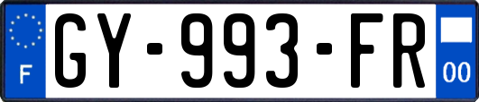 GY-993-FR