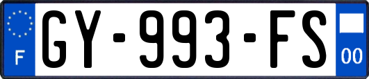GY-993-FS