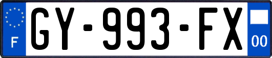 GY-993-FX