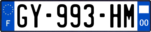 GY-993-HM