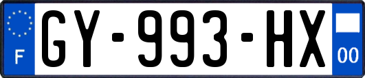 GY-993-HX