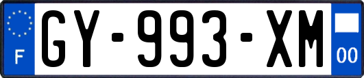 GY-993-XM