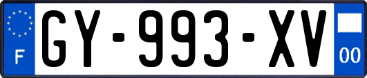 GY-993-XV