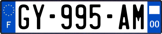 GY-995-AM