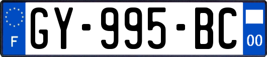 GY-995-BC