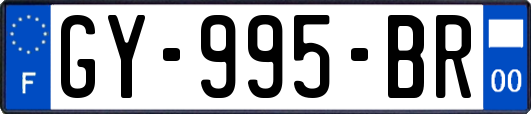 GY-995-BR