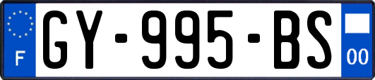 GY-995-BS