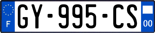 GY-995-CS