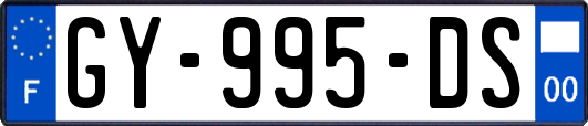 GY-995-DS