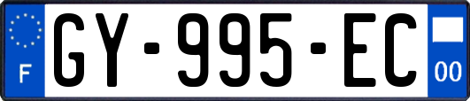 GY-995-EC
