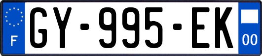 GY-995-EK