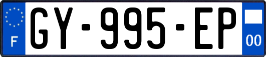 GY-995-EP
