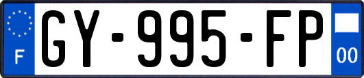 GY-995-FP