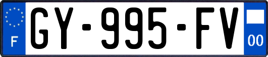 GY-995-FV