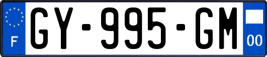GY-995-GM