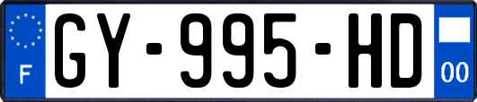 GY-995-HD