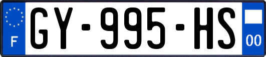 GY-995-HS