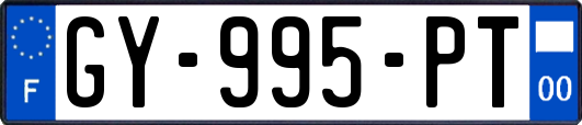 GY-995-PT