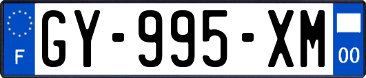 GY-995-XM