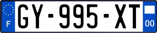 GY-995-XT