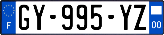 GY-995-YZ