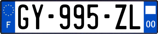 GY-995-ZL