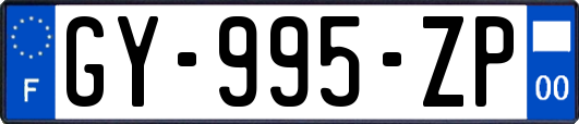 GY-995-ZP