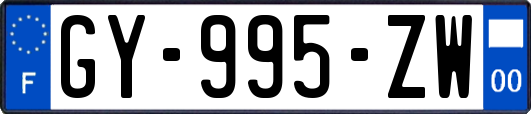 GY-995-ZW