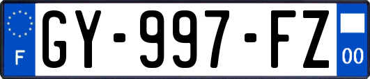 GY-997-FZ