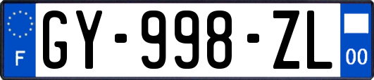 GY-998-ZL