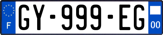 GY-999-EG