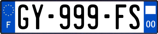 GY-999-FS