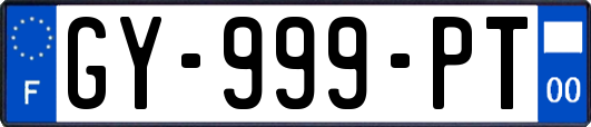 GY-999-PT