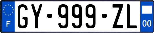 GY-999-ZL