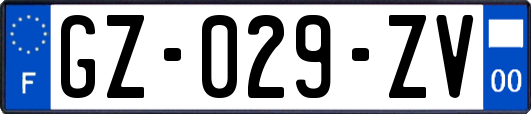 GZ-029-ZV