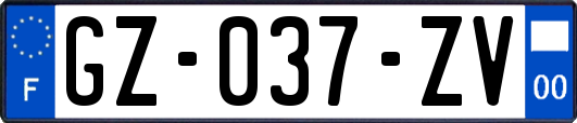 GZ-037-ZV