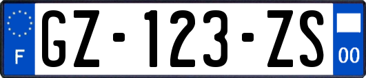 GZ-123-ZS