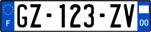 GZ-123-ZV