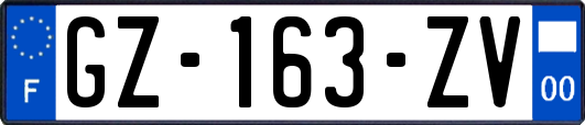 GZ-163-ZV