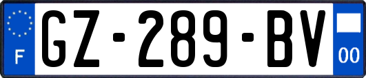 GZ-289-BV