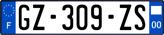 GZ-309-ZS