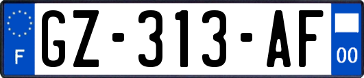 GZ-313-AF